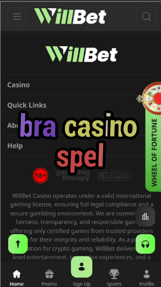 Bra Casino Spel - Bästa Nätcasinon för Svenska Spelare-casinoorder.vip
